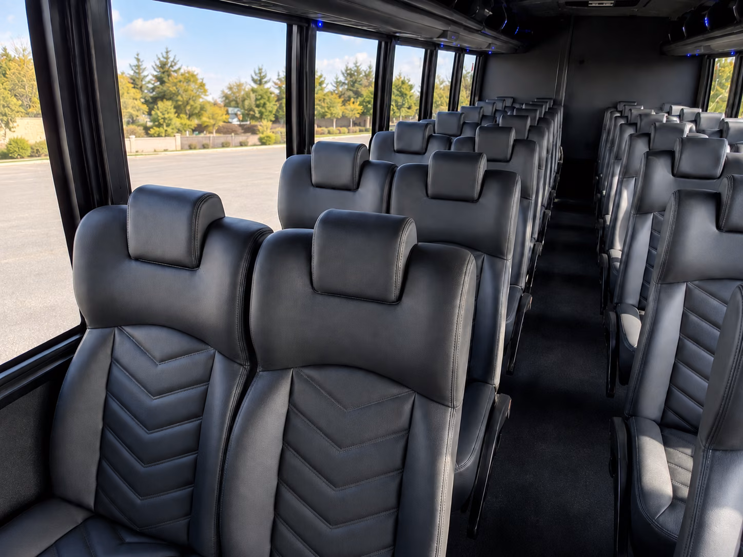 carlsbad 18 passenger minibus inside