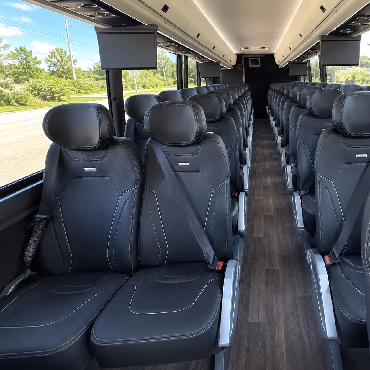 carlsbad 47 passenger charter bus inside