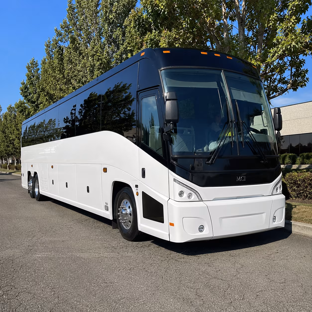 carlsbad 50 passenger charter bus
