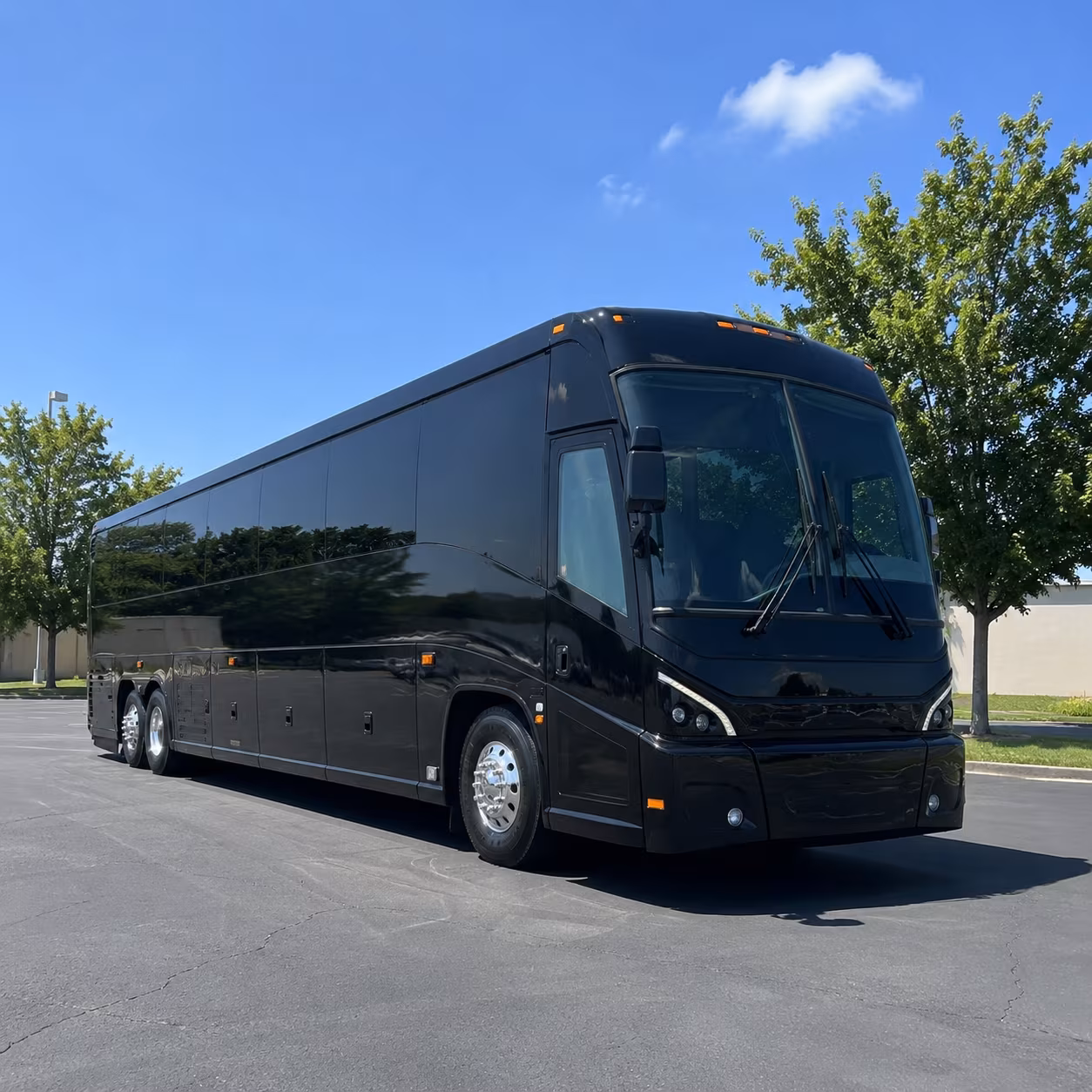 carlsbad 56 passenger charter bus