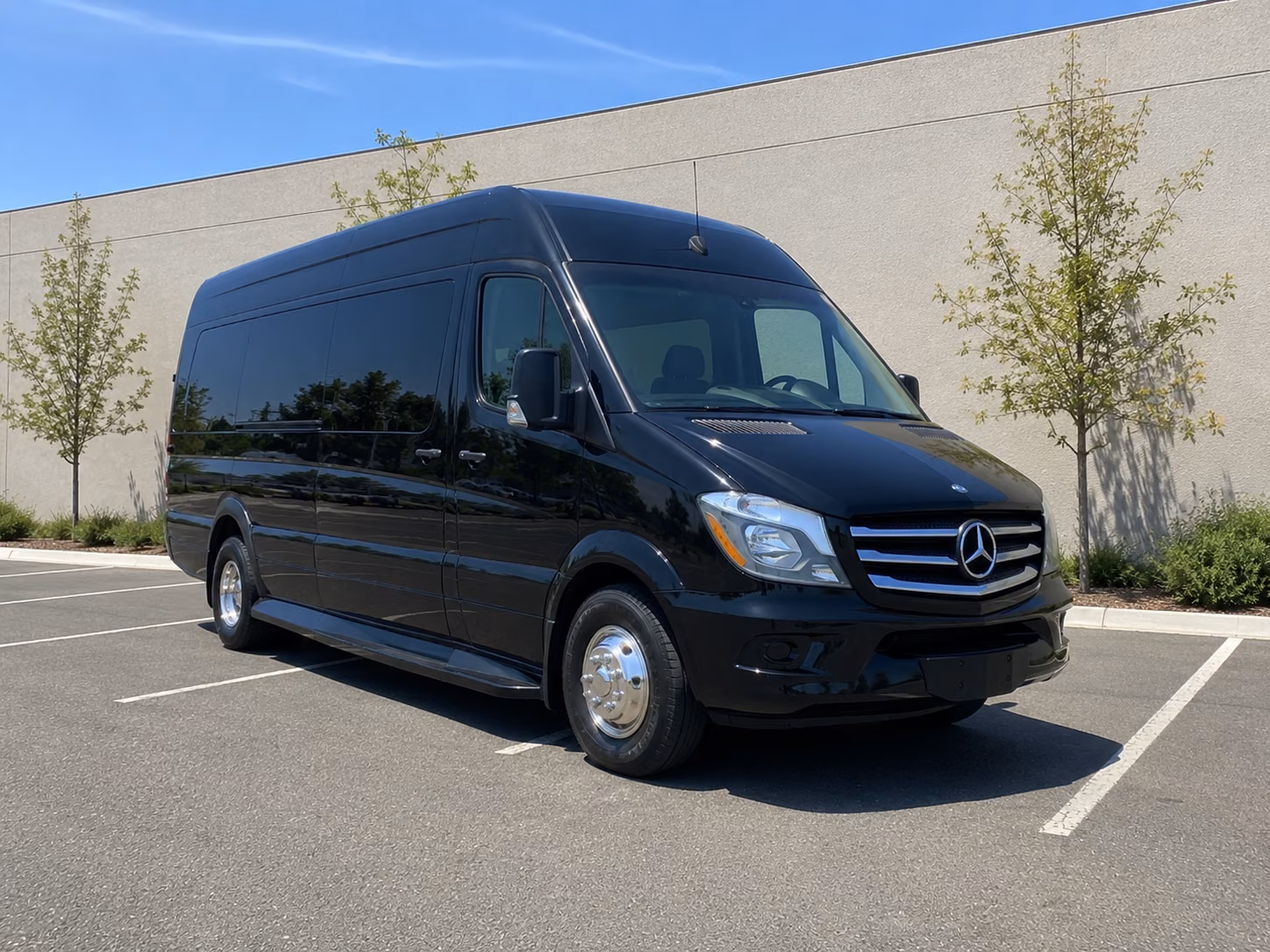 sprinter vans and minibuses for smaller carlsbad bachelor and bachelorette groups
